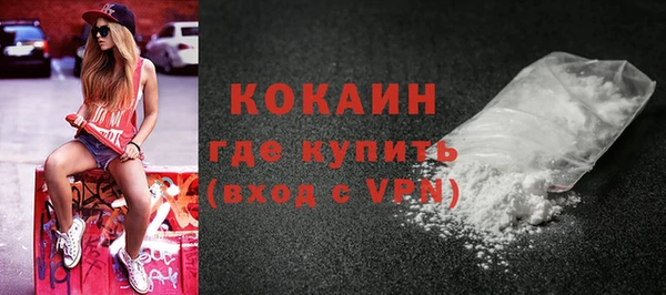 индика Анива
