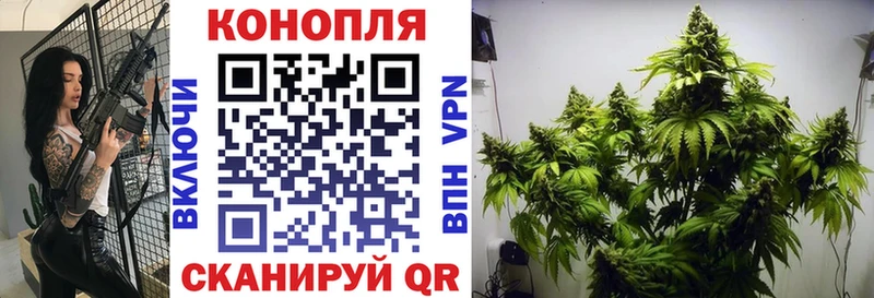 Шишки марихуана LSD WEED  наркошоп  Закаменск 